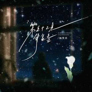 第五十二束郁金香