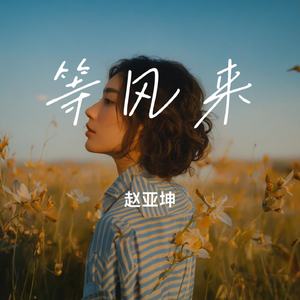 等风来