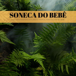 Uma Música De Berço Sobre Água