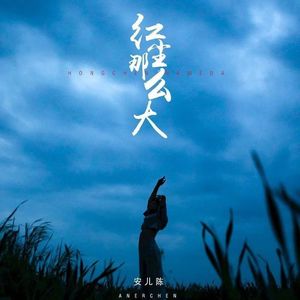 红尘那么大 (DJ月之歌版)