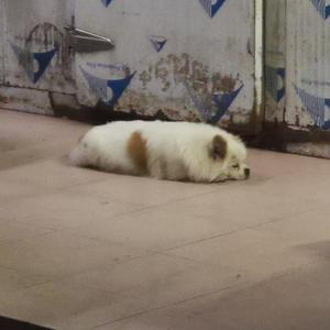 对盒子的漫长等待