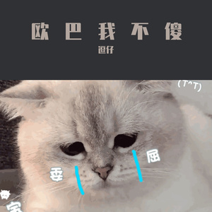 欧巴我不傻（完整版）