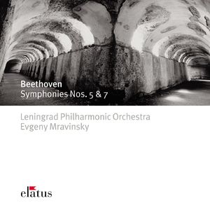 Symphony No. 5 in C Minor, Op. 67:I. Allegro con brio (Live at Leningrad, 1974)