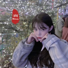 飘向北方 (DJ版)