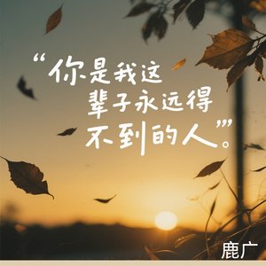 你是我这辈子永远得不到的人