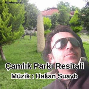 Çamlık Parkı Resitali - Enstrumanlar
