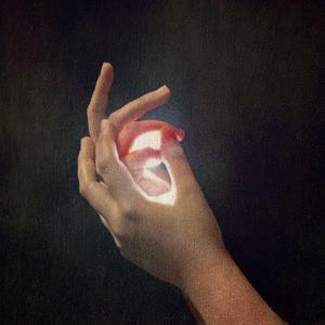 Metamorphosis