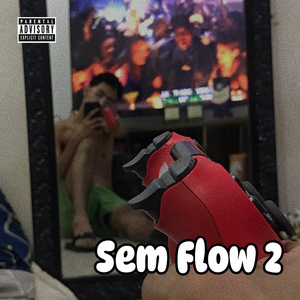 Sem Flow 2