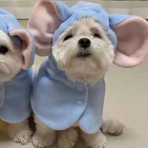 追光者