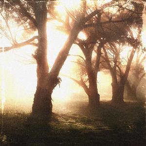 Miss u (feat. Kill.Elzz)