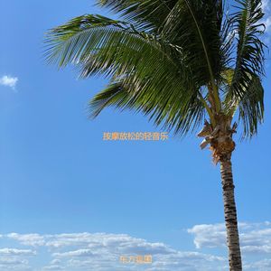 适合水疗美丽的音乐