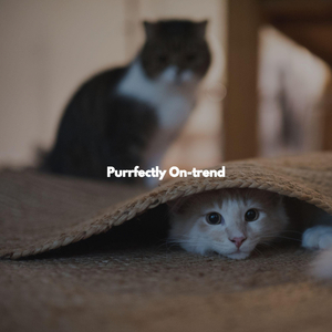 Sultry Son Montuno Trumpet - Vibe for Foggy October