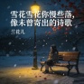 雪花雪花你慢些落 (像未曾寄出的诗歌)