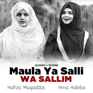 Maula Ya Salli Wa Sallim (Lofi-Mix)