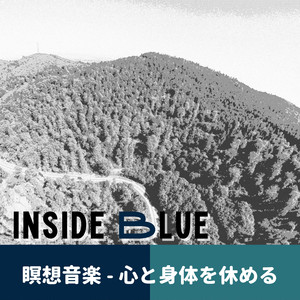 Whispering Bamboo Grove