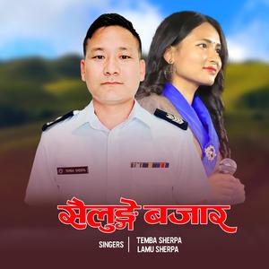 Sailunge Bazar (feat. Temba Sherpa)