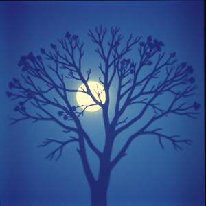 님아! 어디로 가오