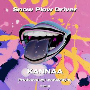 Plow Driver