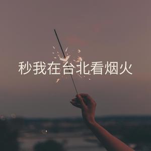 秒我在台北看烟火