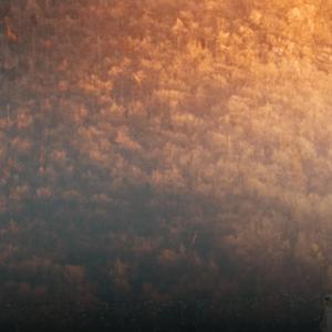 Tình Yêu Tôi Đã Mất