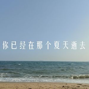 向着你已不在的夏天