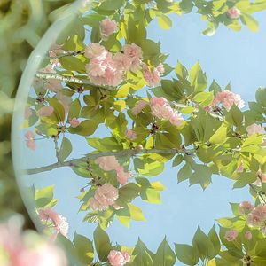 养生音乐-补气润肺