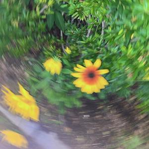 And Low 電話番号