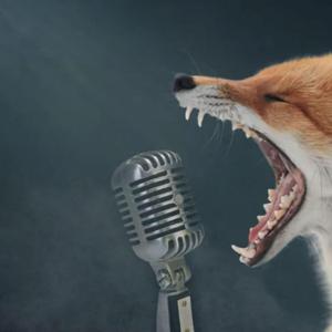 Days of the Week Sunday Monday Tuesday Wednesday Thursday Friday Saturday Fun Funny Cool Hip Hop Rap Chill LoFi Flame Lit Fire Education Learn English Kids Weekend Weekday