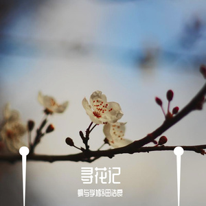 With Nature（伴奏）