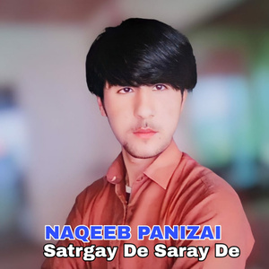 Satrgay De Saray De