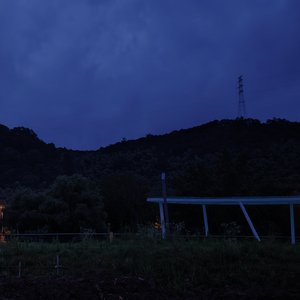 雨打旧情人