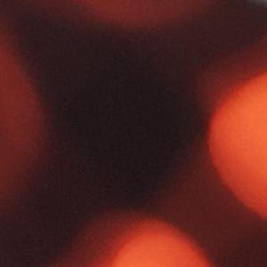 回音集体失踪 伴奏