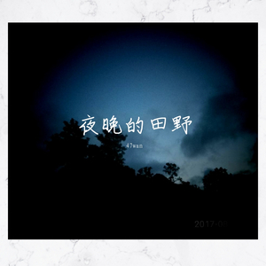 夜晚的田野
