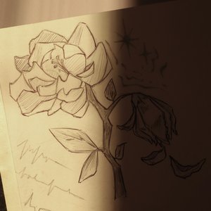 Proximidade Na Distância