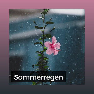 Sommerregen