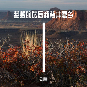 梦想的旅途我背井离乡