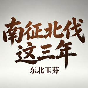 南征北伐这三年