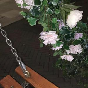 album kommt