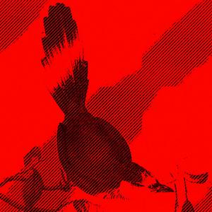 Cabarita (Balearic Mix)