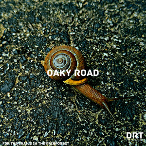 For the Snails in the Rainforest