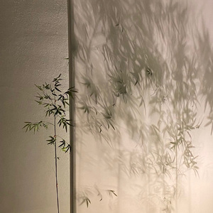 越人歌（纯筝版）