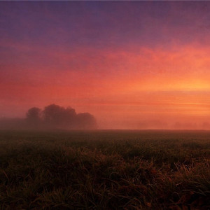 天后(Cover.阿细)