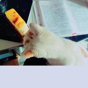 喜欢你（改词版原唱陈洁仪）