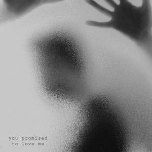you promised to love me