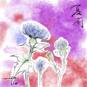 夏薊