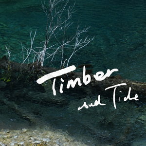 浮木与洪流（Timber and Tide）