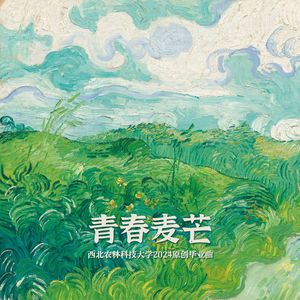 青春麦芒（西北农林科技大学2024原创毕业曲）