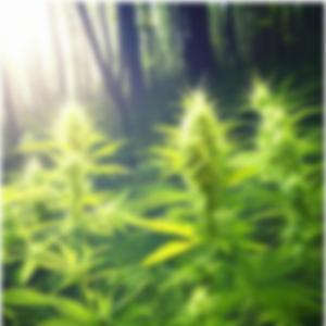 better herb (feat. bleaky)