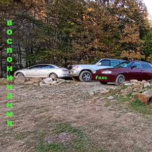 Коллекционер