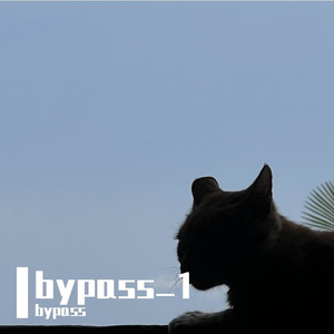 寂静的回响 Echoes of Silence